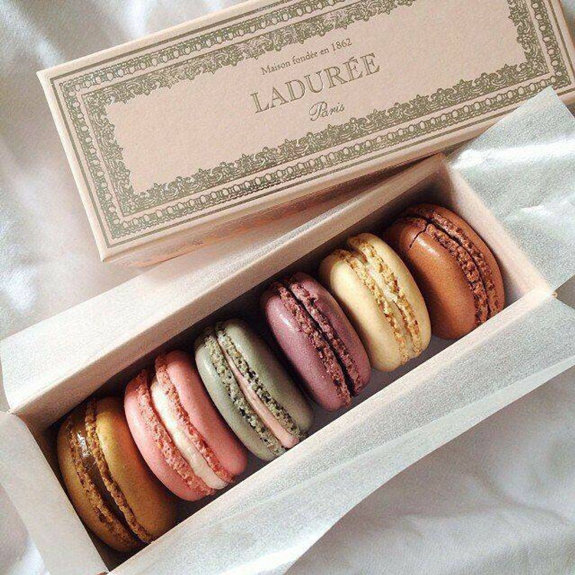 Fashion macarons 