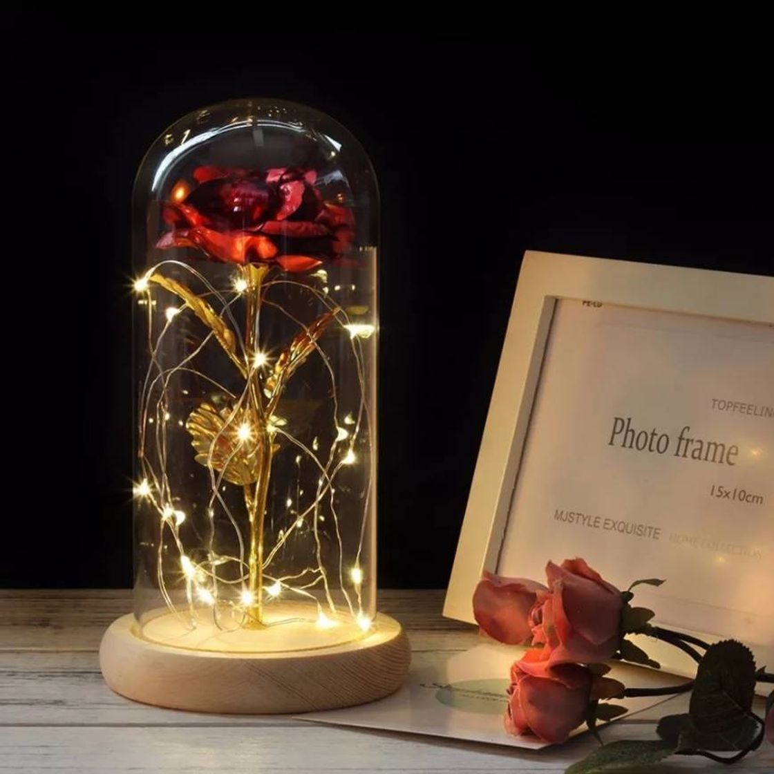 Social Rose Beauty and the beast