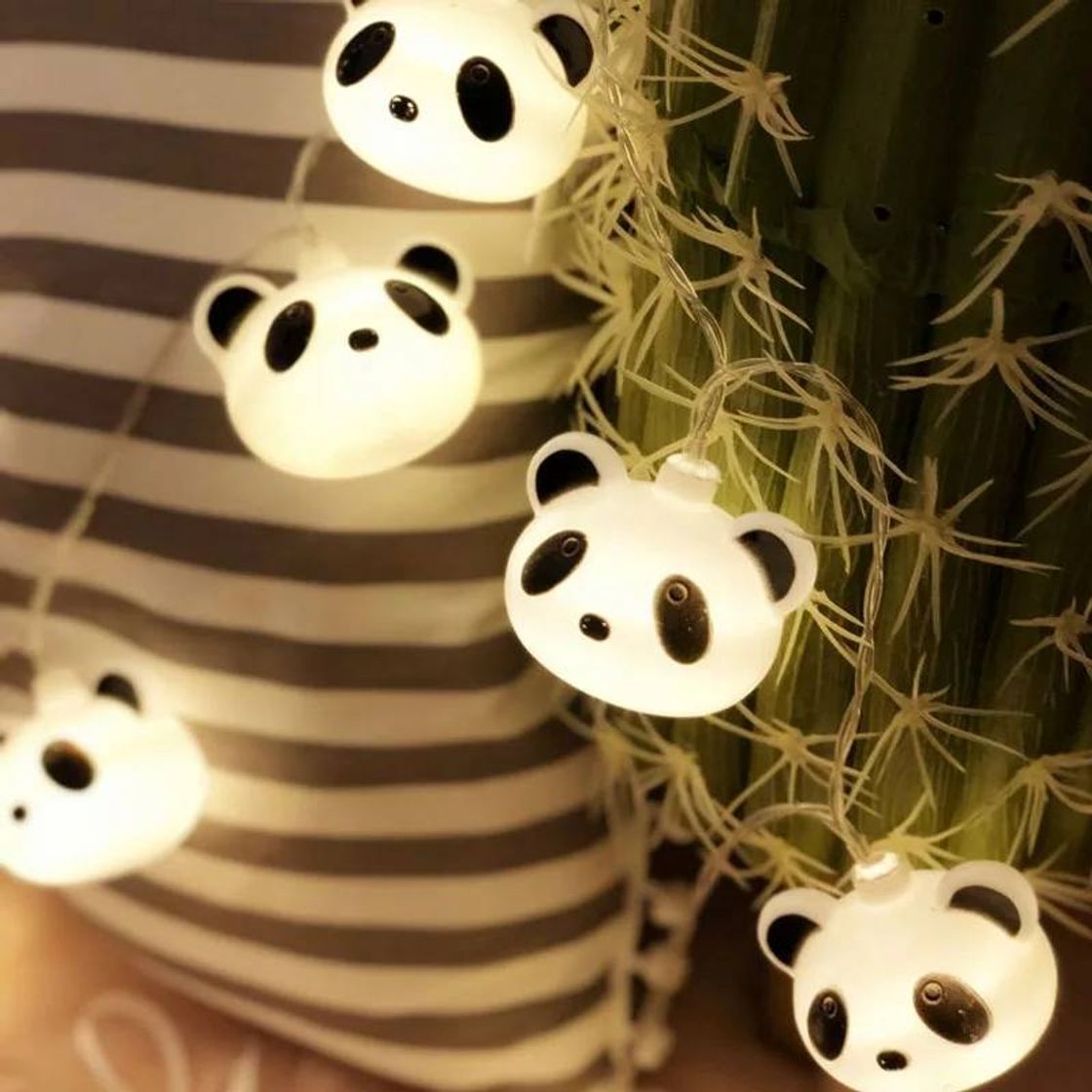 Social Panda Lights