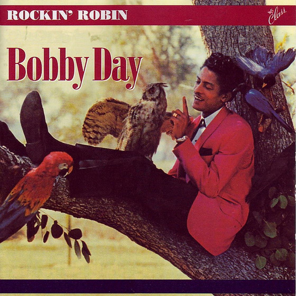 Music Rockin' Robin