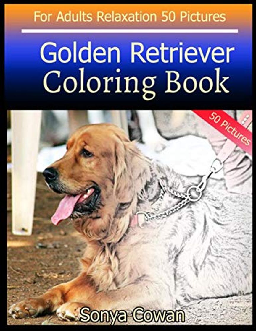 Golden Retriever Coloring Book For Adults Relaxation 50 pictures: Golden Retriever sketch coloring book Creativity and Mindfulness