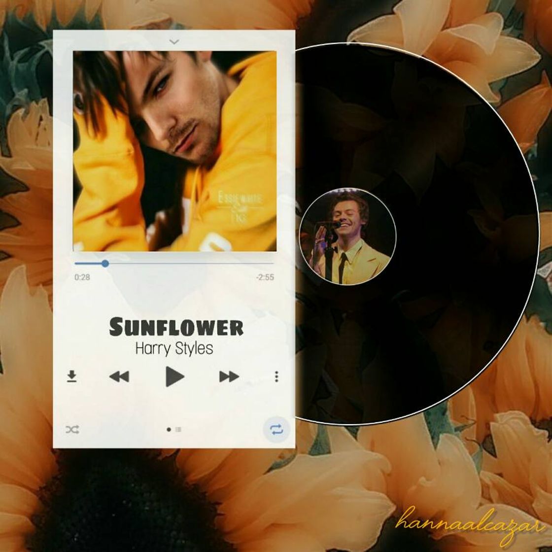 Canción Sunflower, Vol. 6