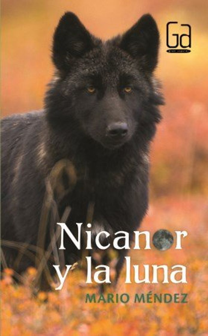 Book Nicanor Y La Luna (Gran Angular) (Rustico)