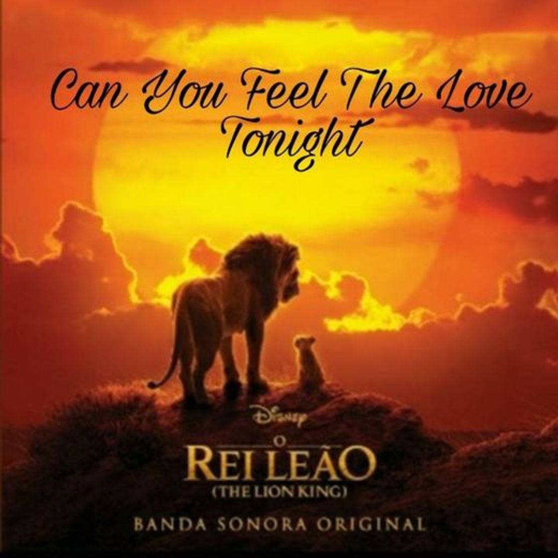 Music Can You Feel the Love Tonight - The Lion King