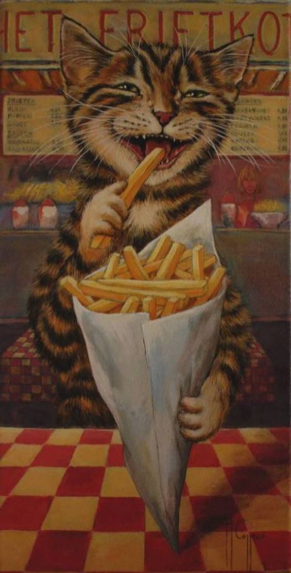 Wallpaper cat😼
