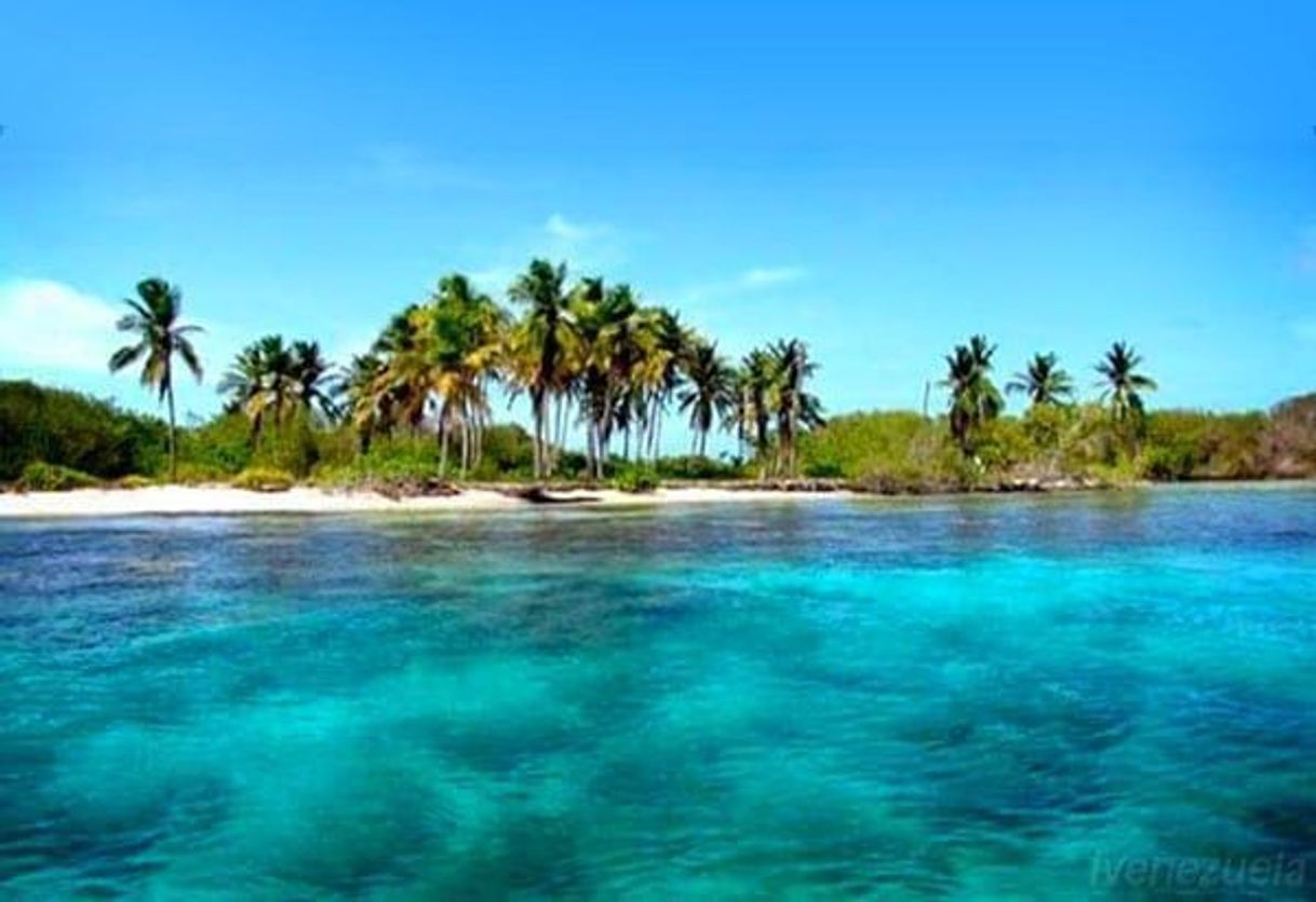 Lugar Parque Nacional Morrocoy