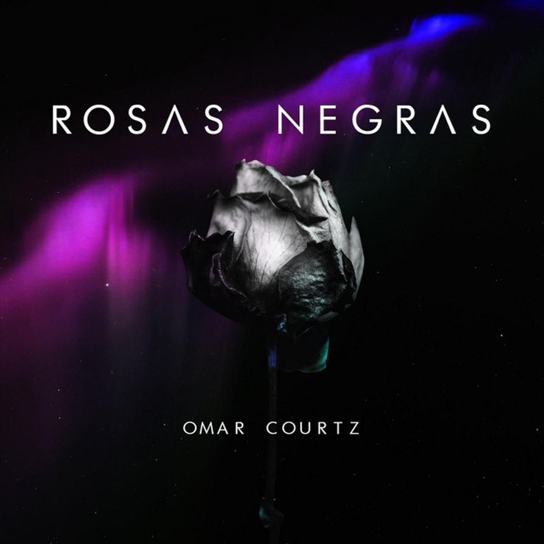 Music Rosas Negras