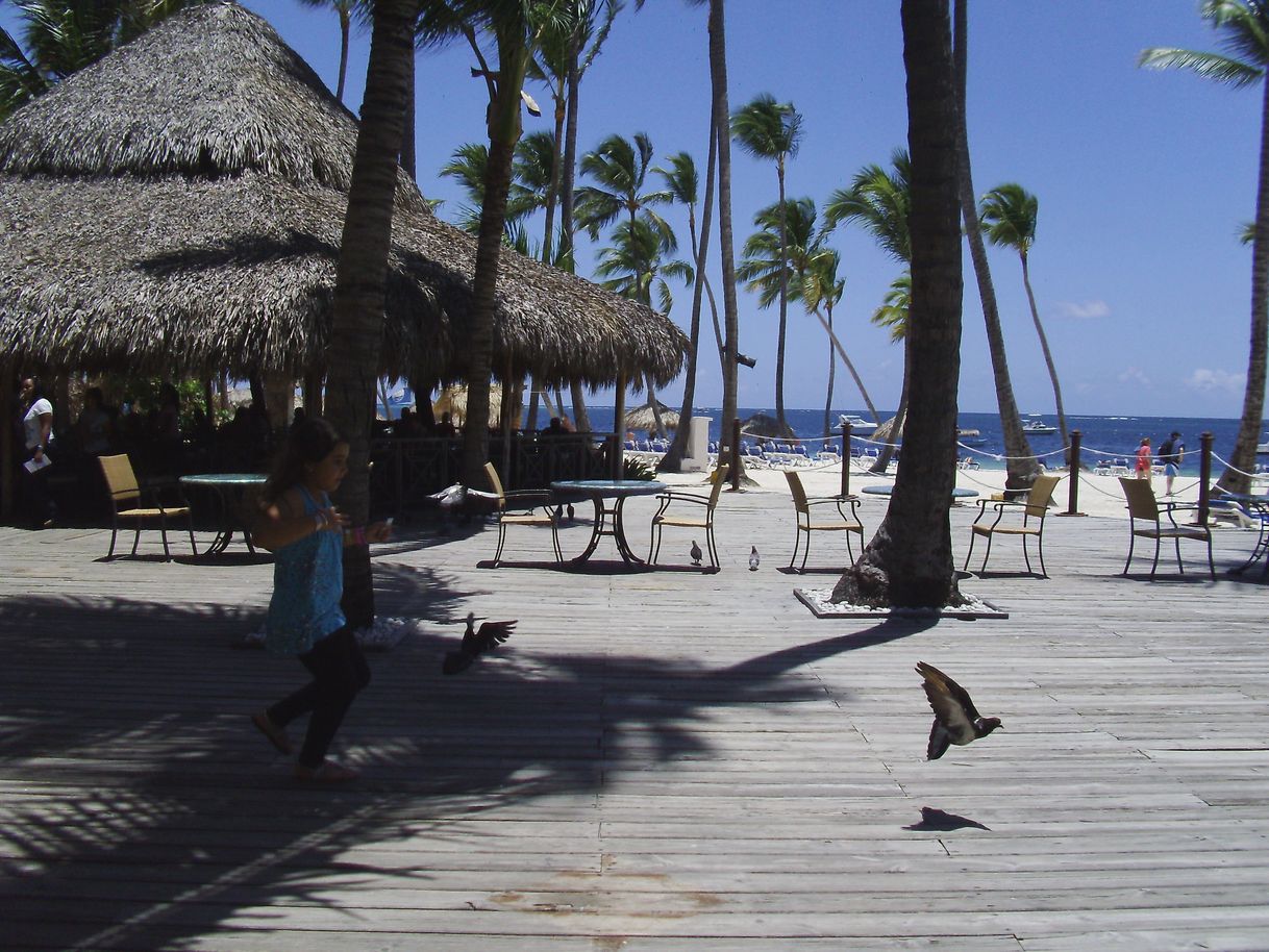 Lugar Hotel Barcelo Bavaro Grand Resort