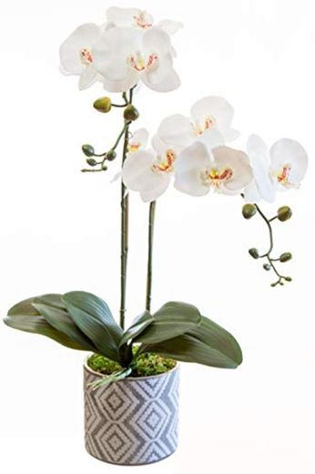 Orquidea Artificial, Altura 65 cm, Phalaenopsis, Maceta de Cerámica, Ideal para Decoración