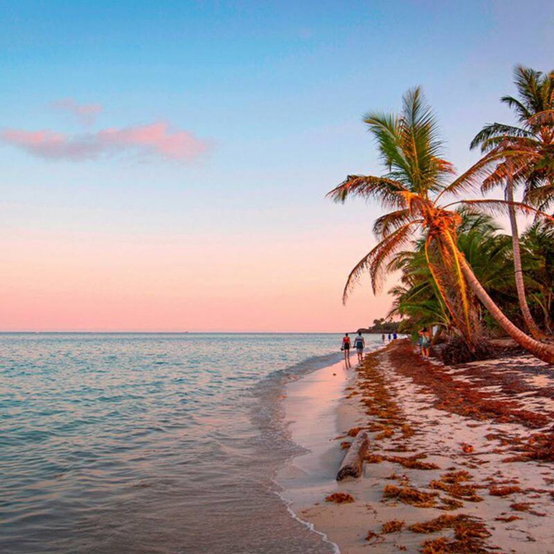 Place Corn Island