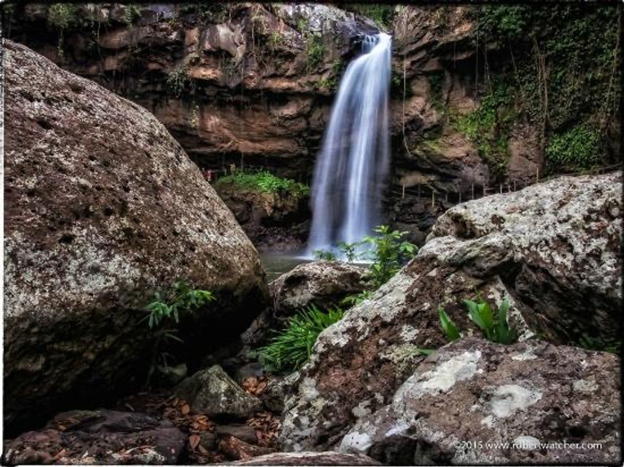 Lugar Eco-Lodge Cascada Blanca