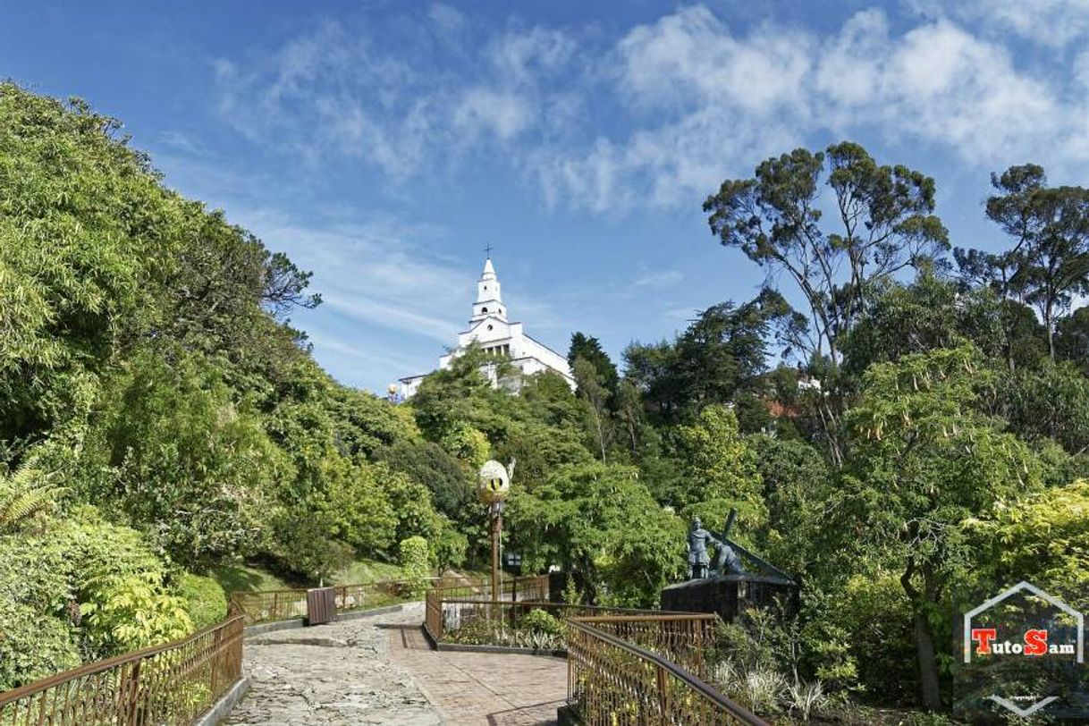 Place Cerro Monserrate