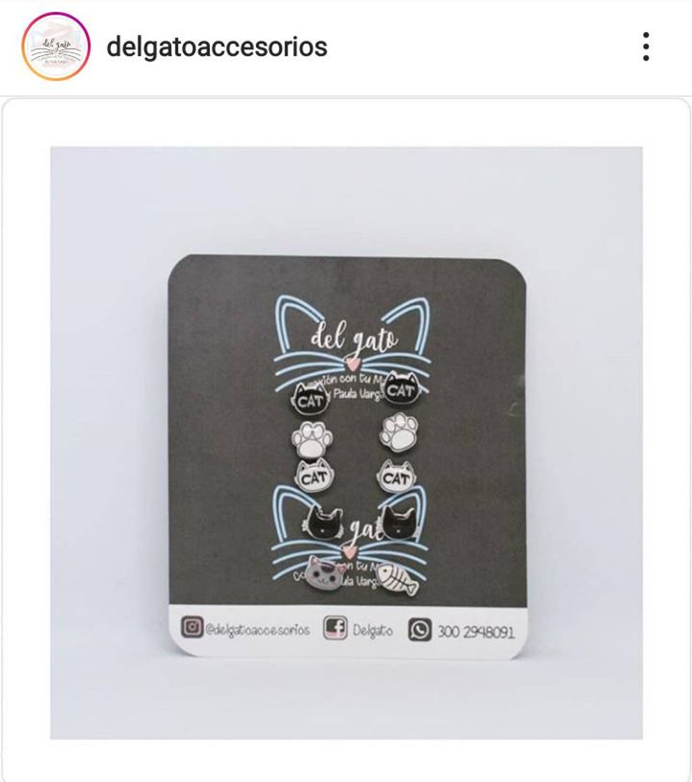 Social Del Gato Accesorios