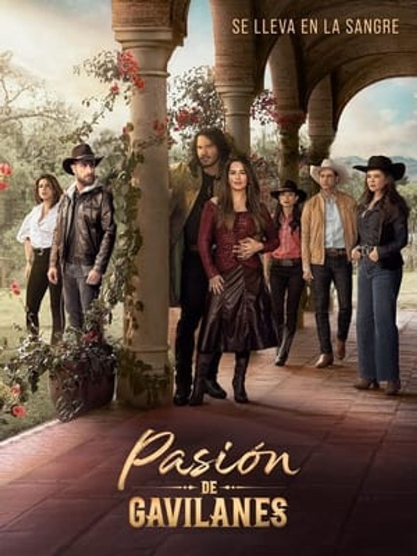 Serie Pasión de gavilanes