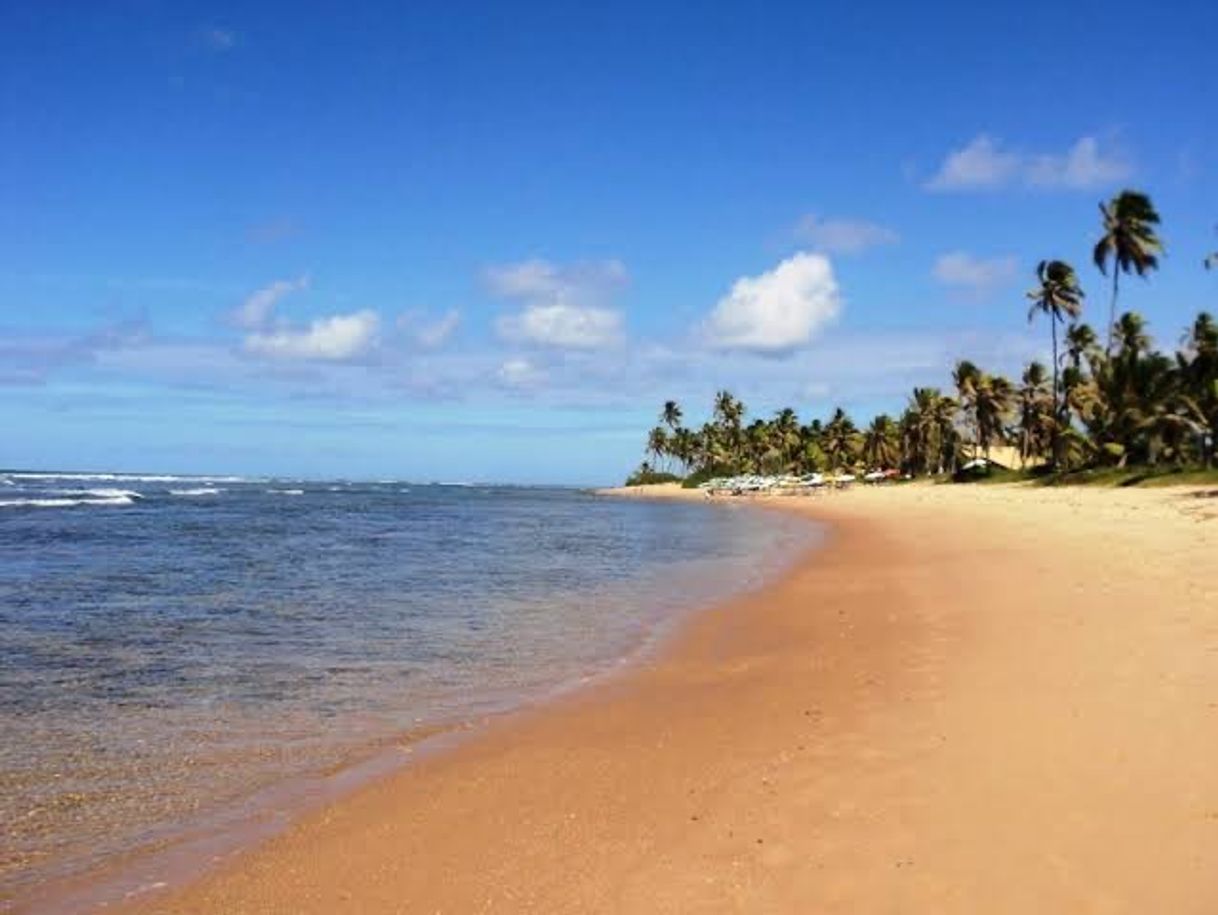 Place Praia do Forte