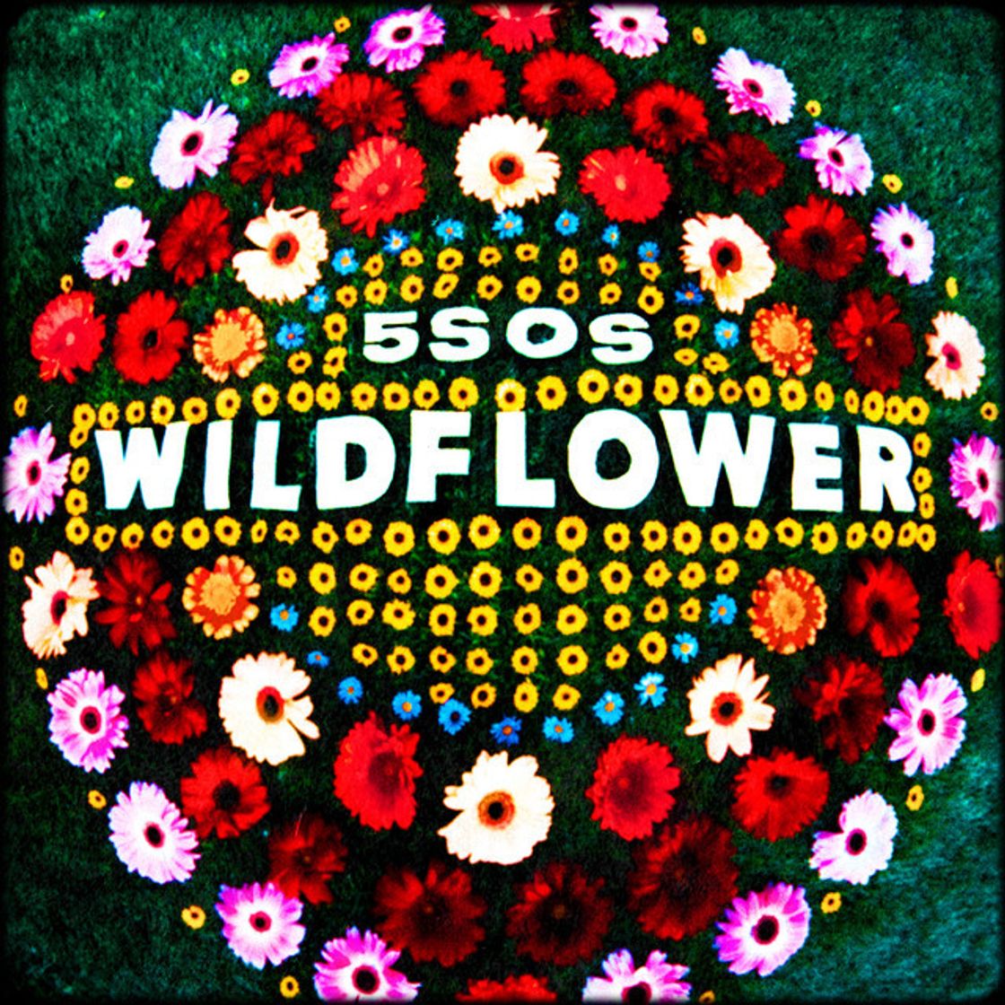 Canción Wildflower