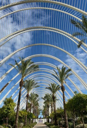 L'Umbracle