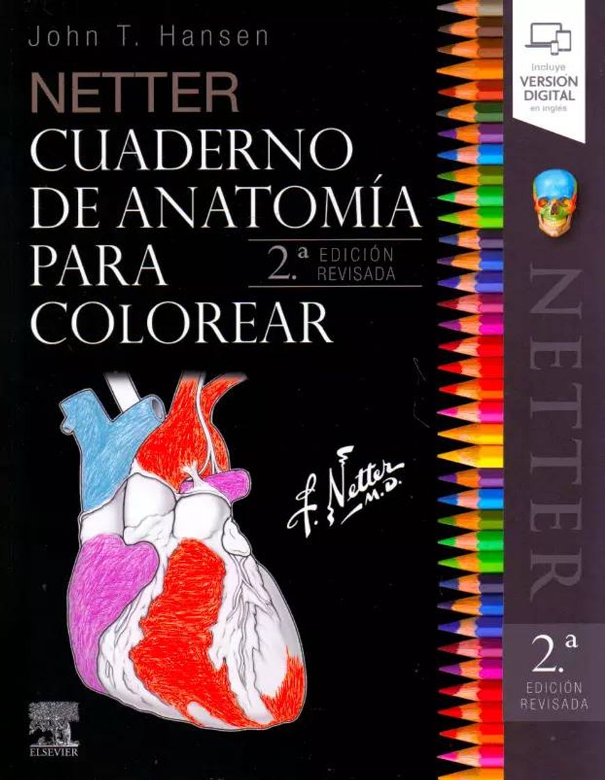 Fashion Netter Cuaderno de anatomía para colorear