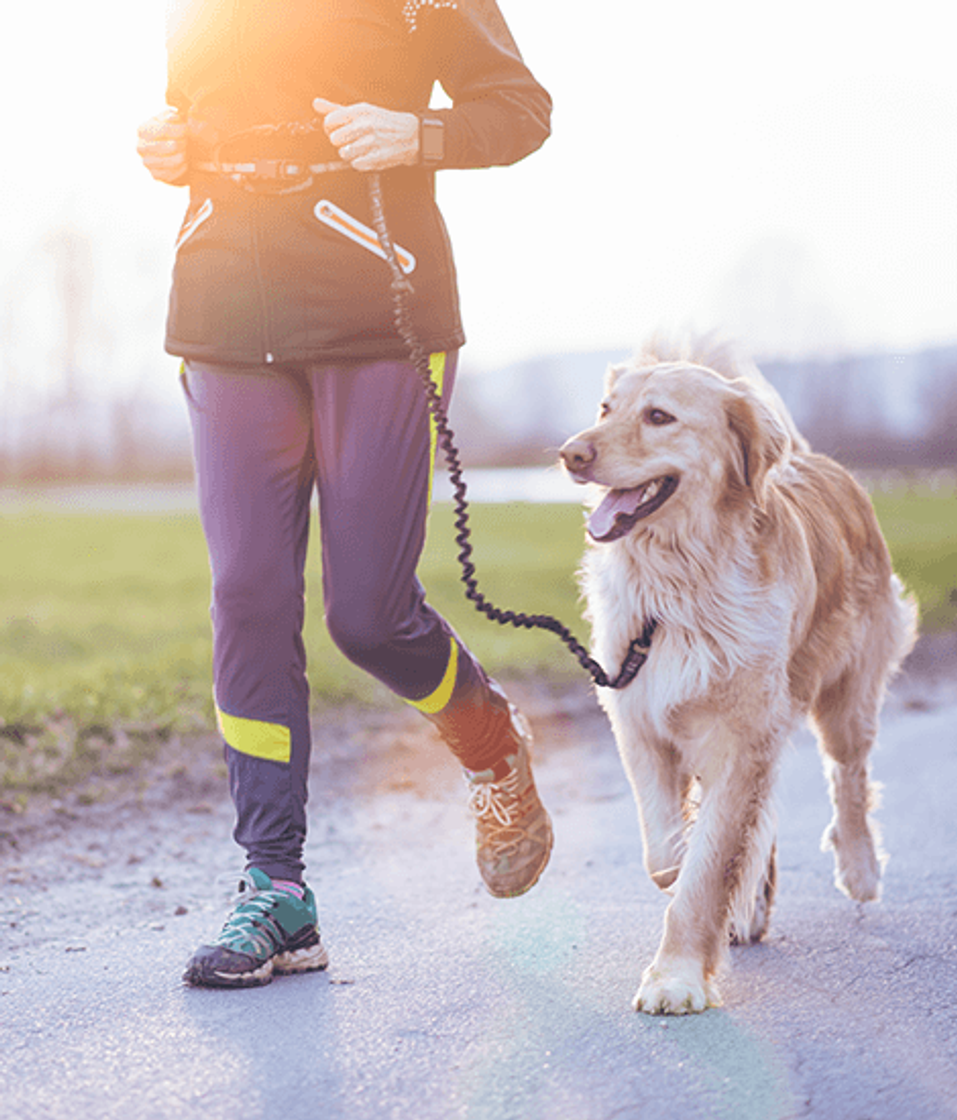 Producto Hands free leash walking