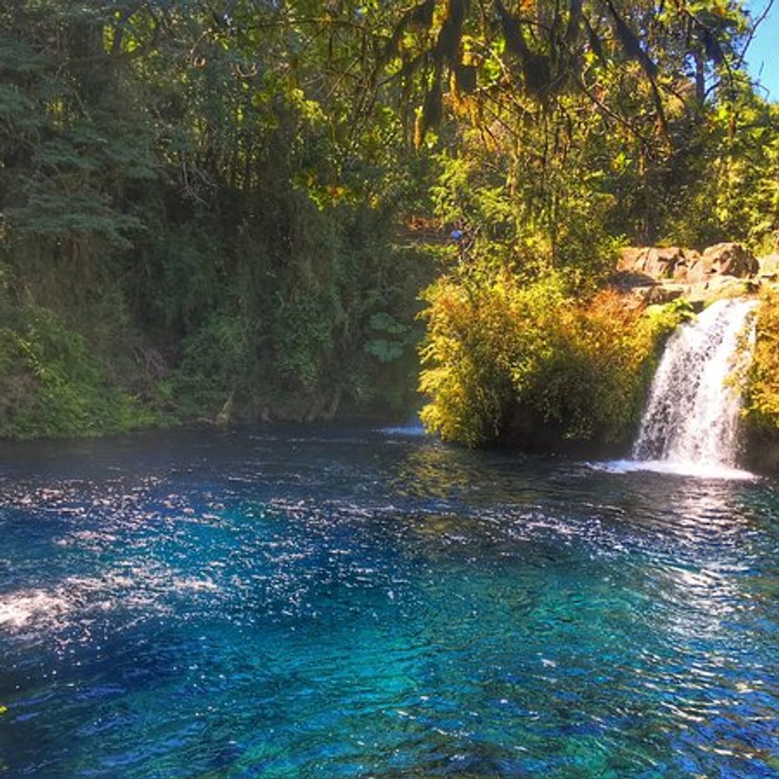Place Los Ojos del Caburgua y su laguna azul