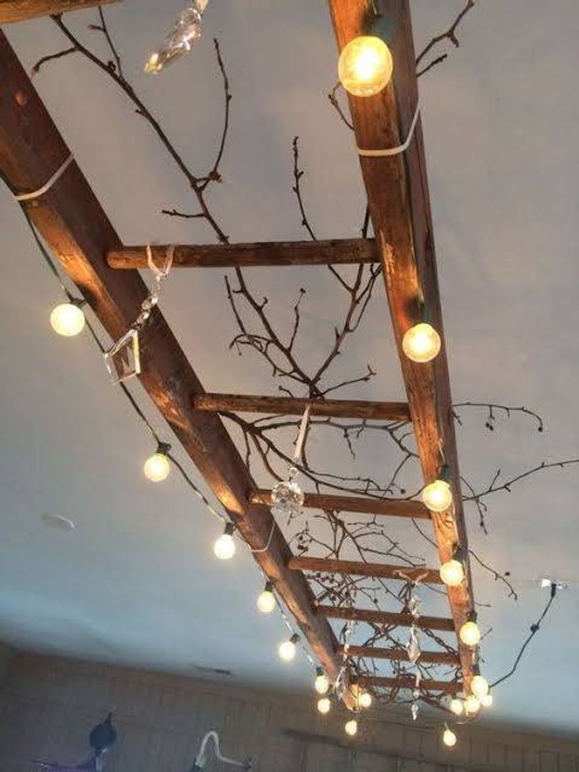 Social Plant