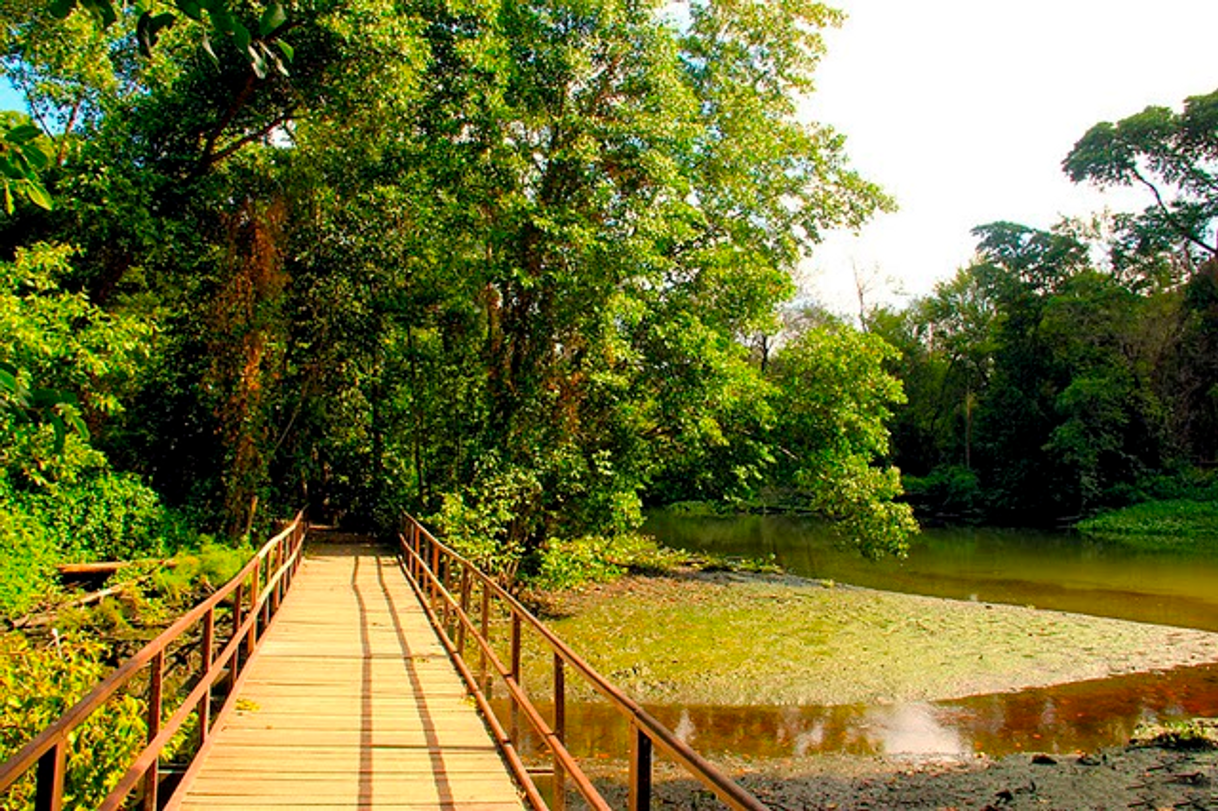 Lugar Parque Estadual do Rio Cocó