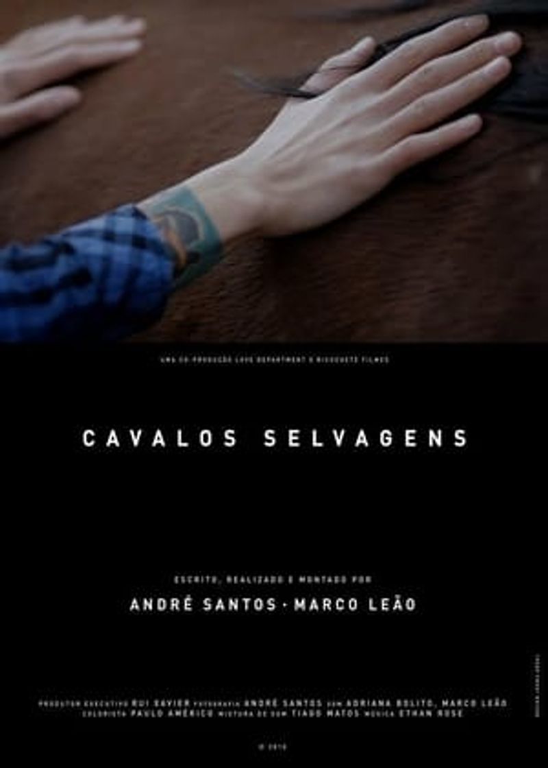 Movie Cavalos Selvagens