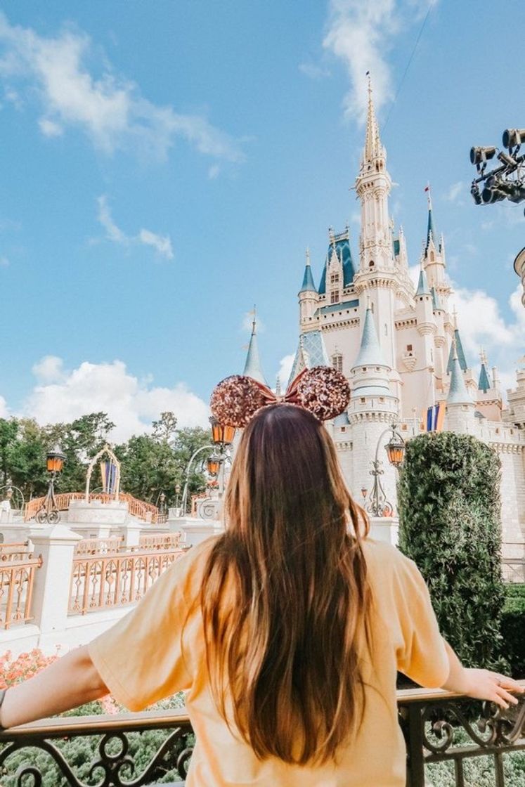 Place Magic Kingdom