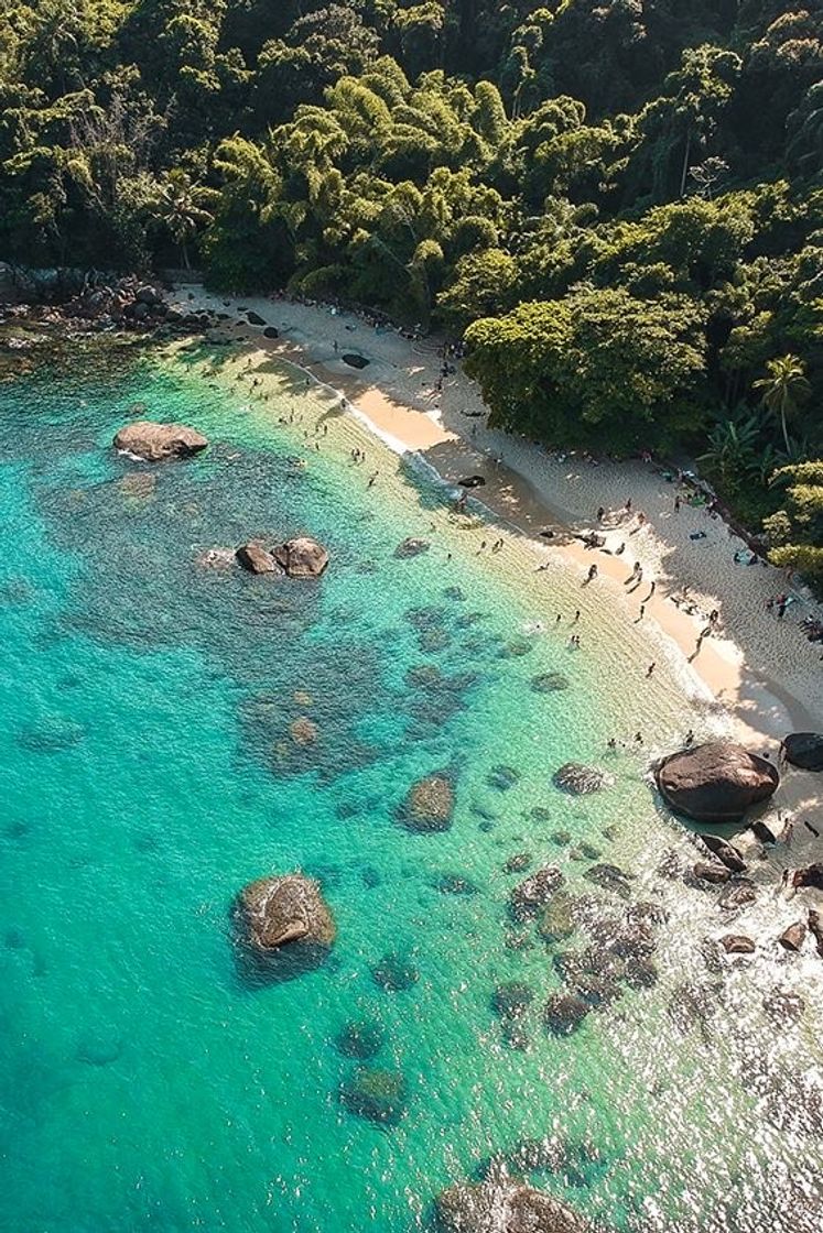 Lugar As 10 melhores praias em Ubatuba