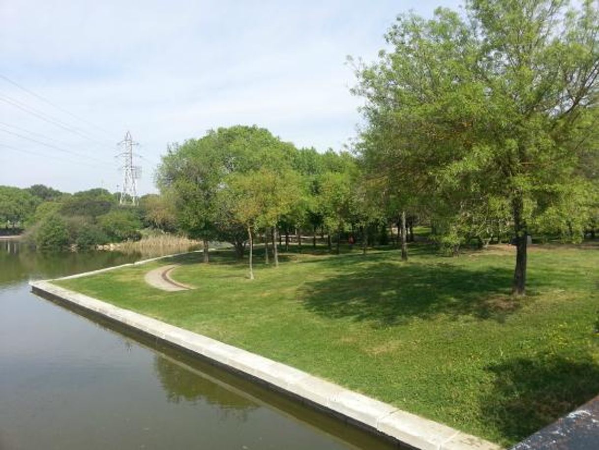 Place Parque del Alamillo
