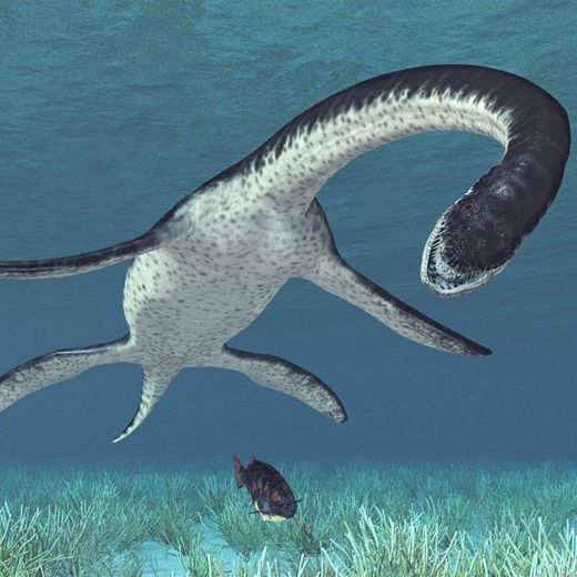 El monstruo del lago Ness, familiarmente llamado Nessie