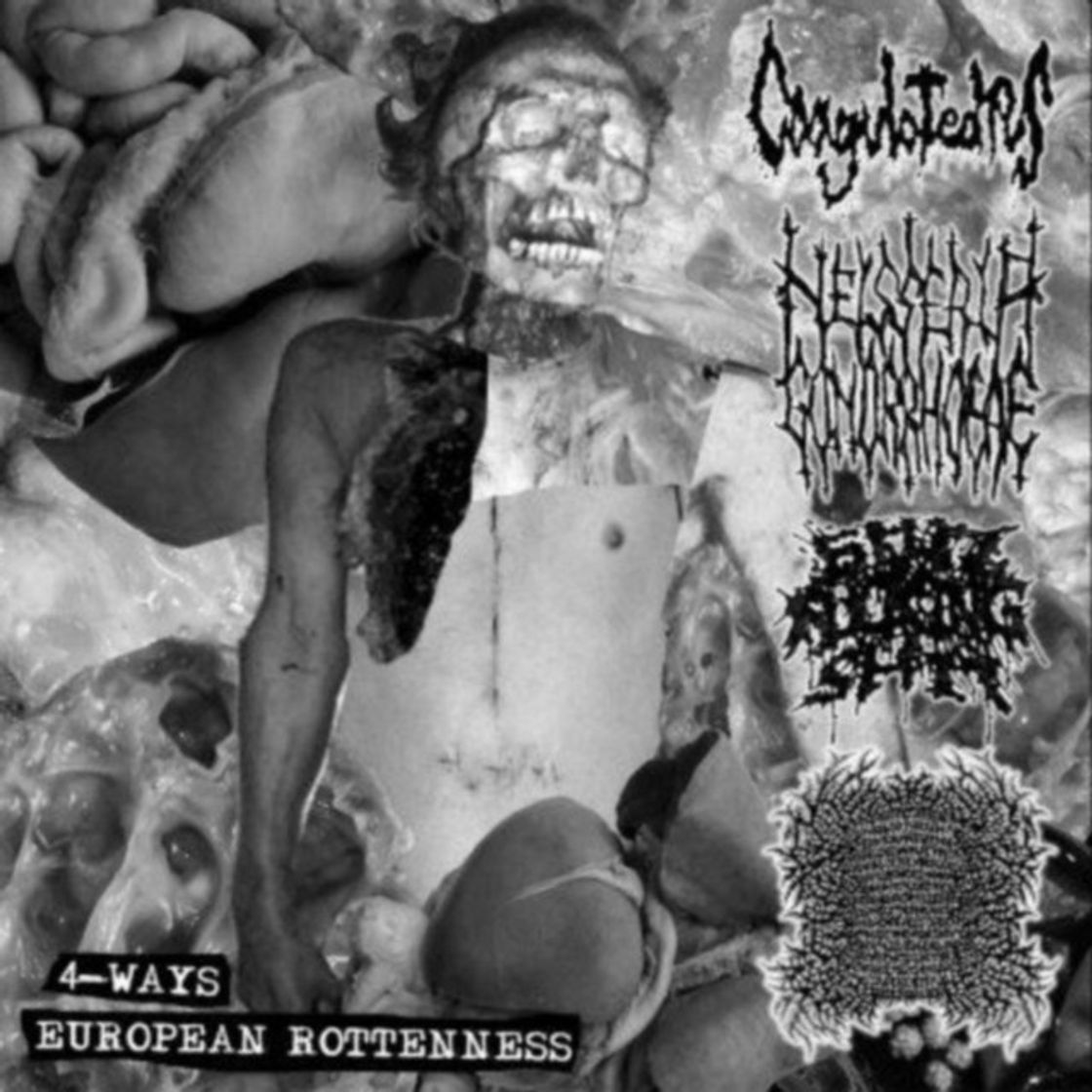 Music Crashing Short Bus Teen Party Splattering Devirginated Guts After Booze Drinking, Backyard Fuckin' And Getting Some Illegal Twat Meat