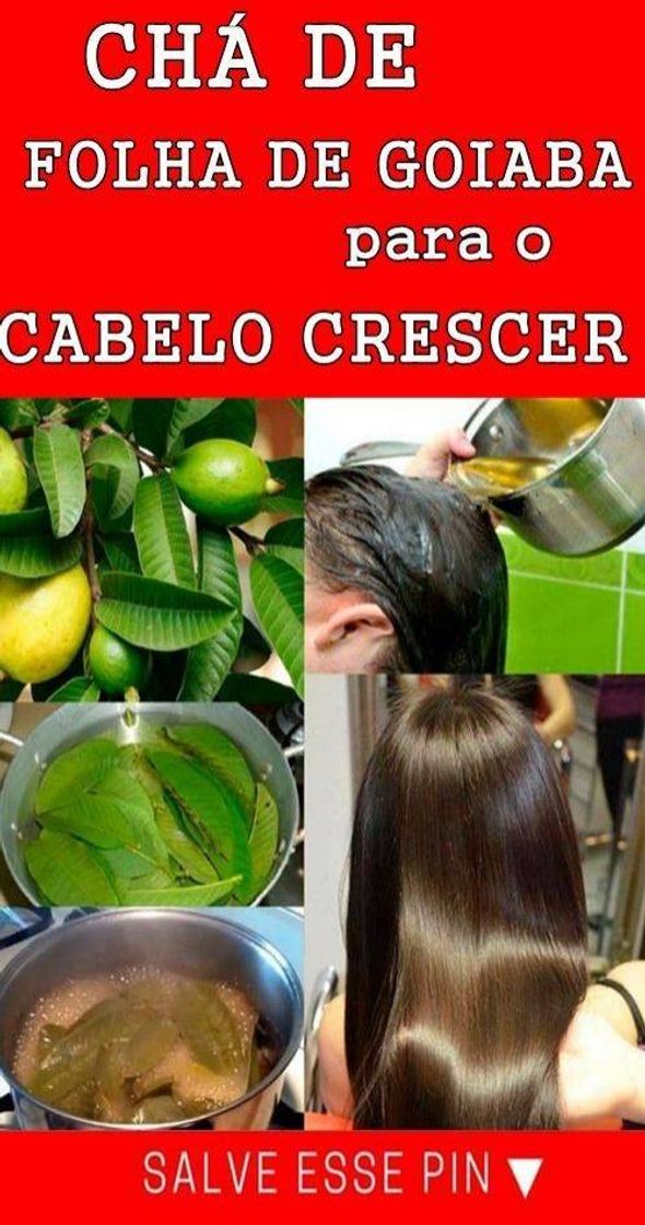 Moda Receitas caseiras