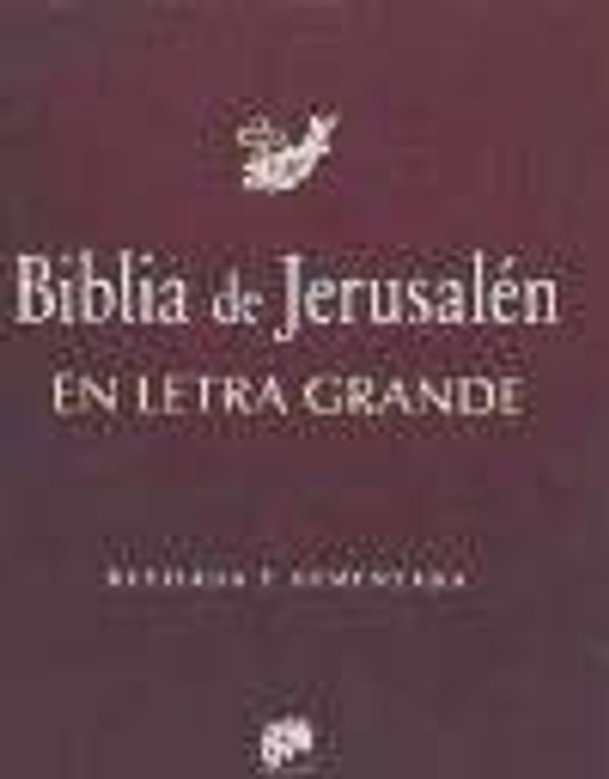 Book Biblia De Jerusalen Letra Grande