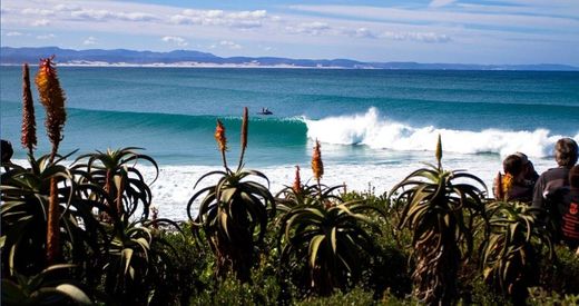 Jeffreys Bay