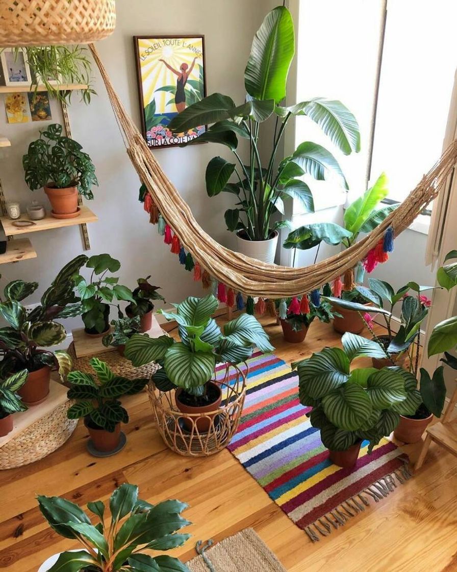 Moda Decoração com plantas