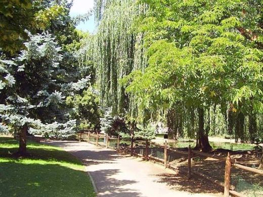 Parque De Quevedo