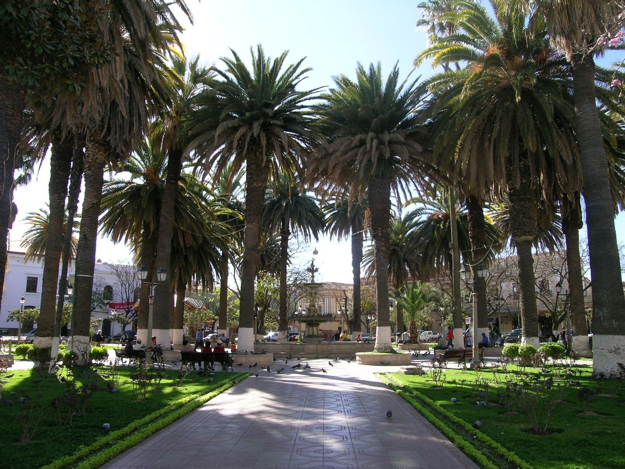 Place Plaza Luis De Fuentes Y Vargas