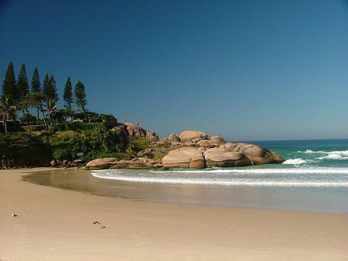 Place Playa de Joaquina