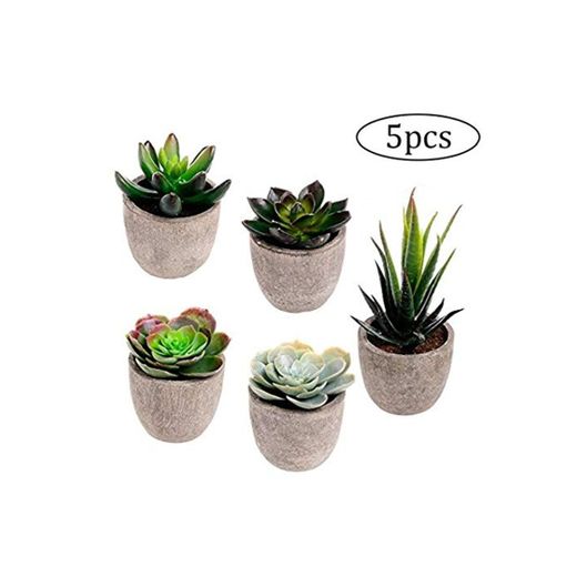 NiceButy Plantas Surtido Decorativo Simulación Artificial Suculento De Cacto Suculento Cactus con