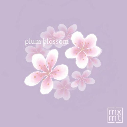 plum blossom 