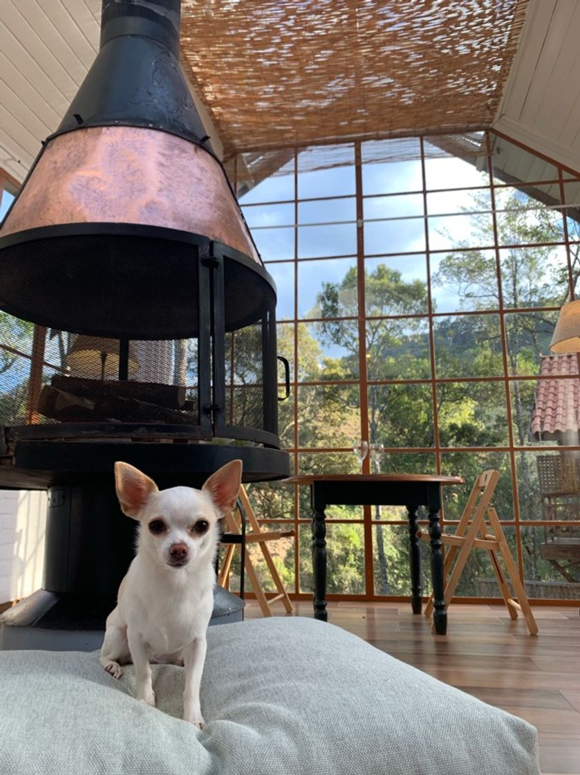 Lugar Pousada Solar D' Araucária