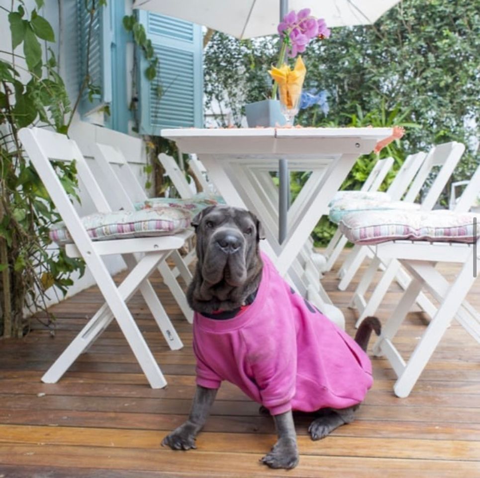 Lugar Pousada Canto das Laranjeiras Villa