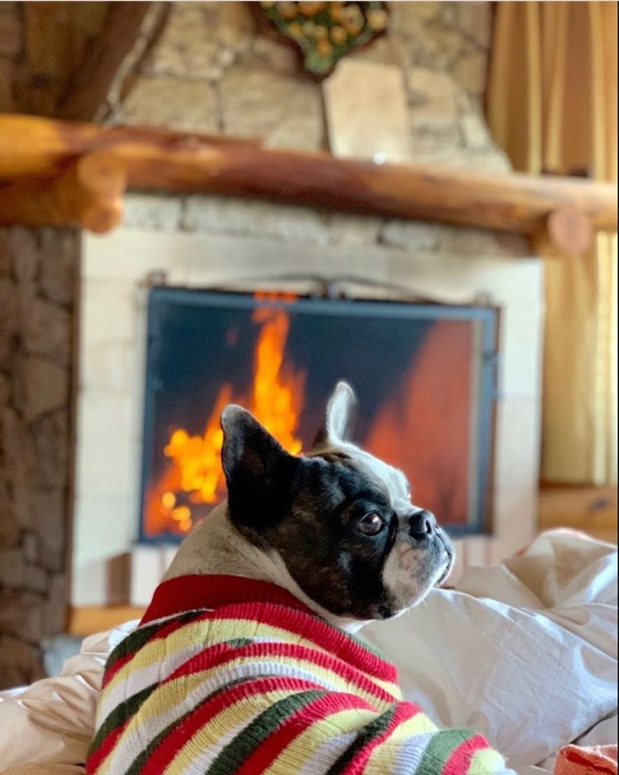 Lugar Pousada Rancho Das Framboesas