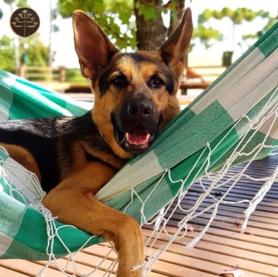 Lugar Surya-Pan Hotel Refúgio