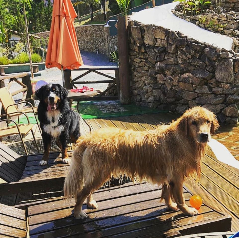 Lugar Pousada Pegada da Onça