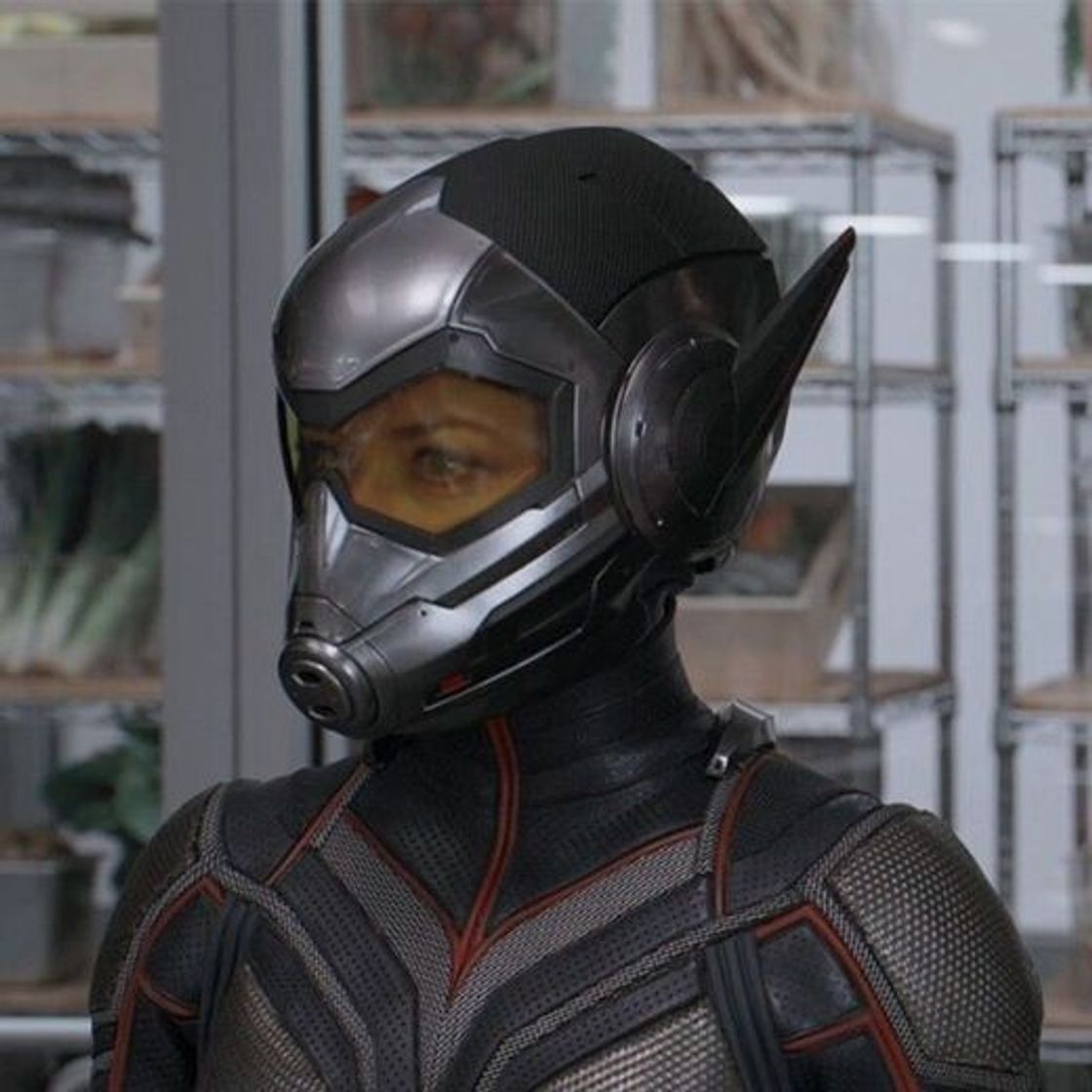 Fashion Ant-Man y la Avispa