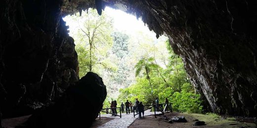 Parque Nacional El Guácharo