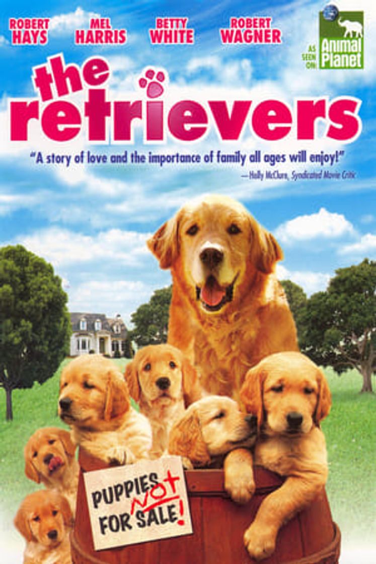 Película Un retriever y seis más