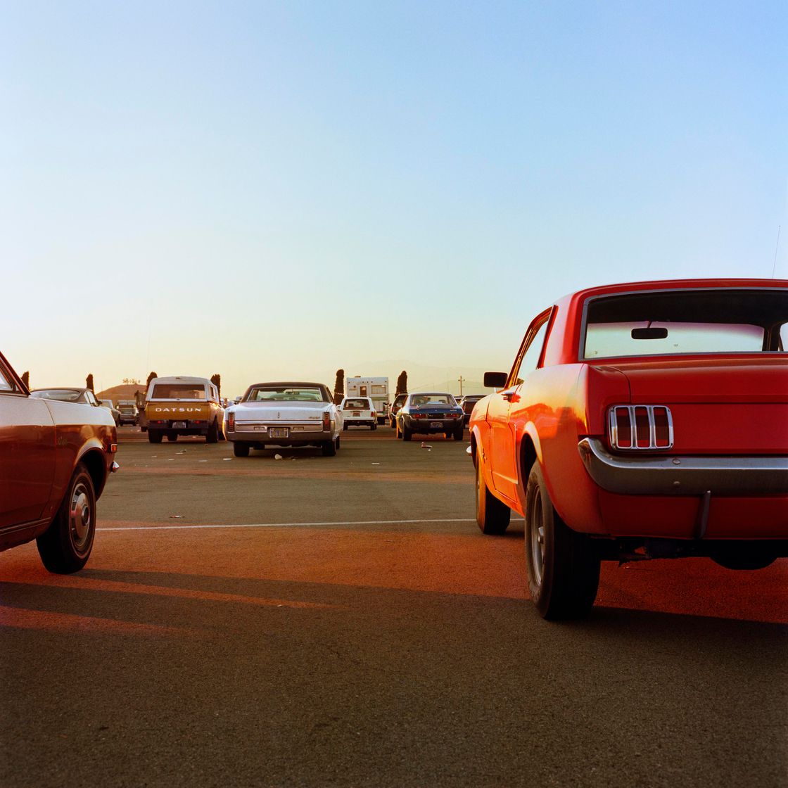 Moda William Eggleston